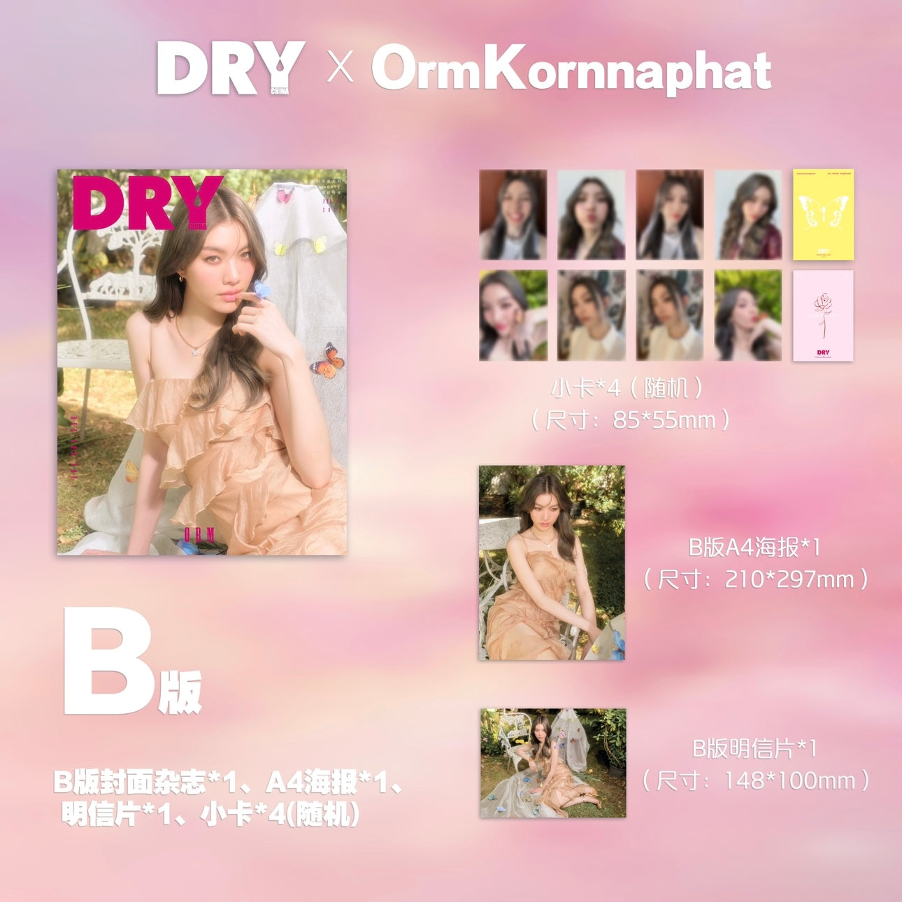 预售 Collectible DRY 杂志 X Orm Kornnaphat 陈美玲 A/B/C版 情人节特刊 封面杂志套装